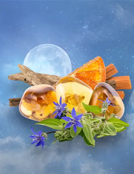 To the Moon Clean Fragrance