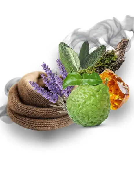 Velvet Musk Clean Fragrance